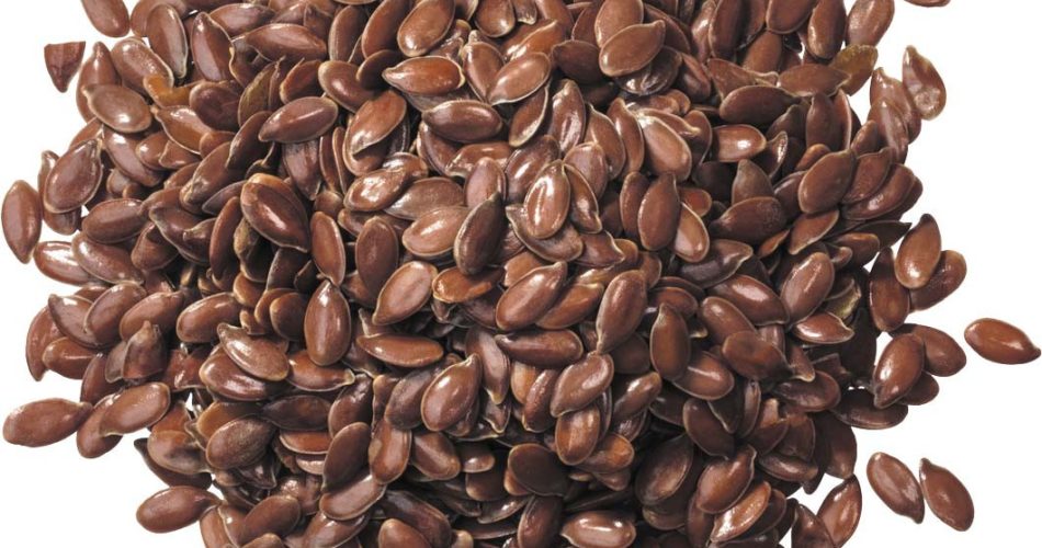 Flax Seeds
